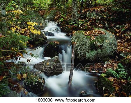 Stock Photo - Stream flowing through forest in New Hampshire, USA. Fotosearch
