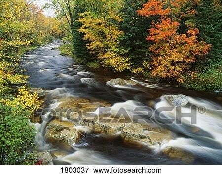 Stock Photo - Stream flowing through forest in Vermont, USA. Fotosearch