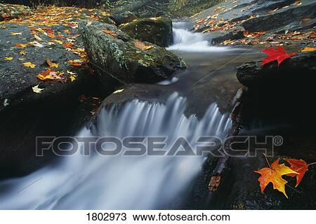 Stock Image - Stream in Shenandoah National Park, Virginia. Fotosearch