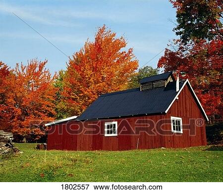 Stock Photo - Sugar house with fall trees. Fotosearch