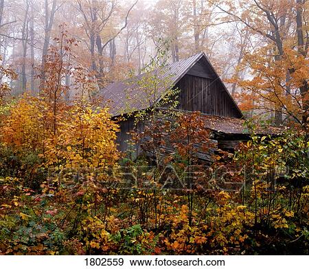 Stock Photo - Sugarhouse in an autumn forest. Fotosearch