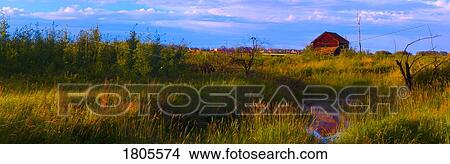 Picture - Summer shot of old shack by creek, St. Albert, Alberta, Canada. Fotosearch