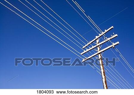 Telephone wires in winter View Large Photo Image Stock Image - Telephone wires in winter. Fotosearch