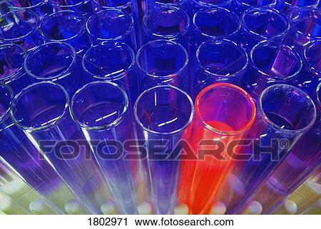 Stock Image - Test tubes in a test tube rack. Fotosearch