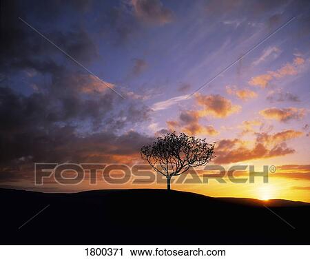 Stock Image - The Burren near Kinvara in County Clare, Ireland. Fotosearch