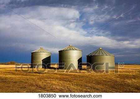 Stock Image - Three barns in the field with cloudy sky. Fotosearch