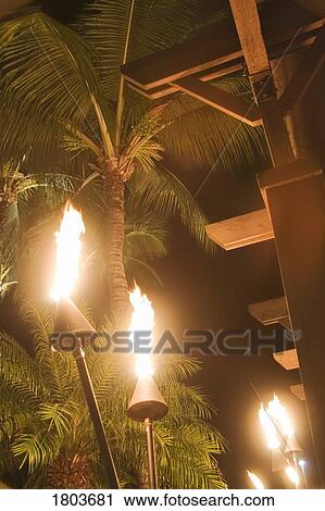 Torches with palm trees View Large Photo Image Stock Image - Torches with palm trees. Fotosearch