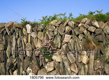 Traditional Farming, Stone Wall, West Cork, Ireland View Large Photo Image Stock Photograph - Traditional Farming, Stone Wall, West Cork, Ireland. Fotosearch