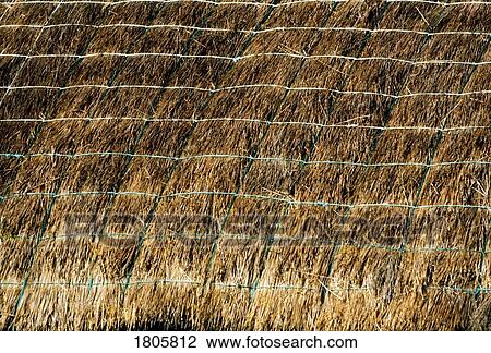 Traditional Thatching, Ireland View Large Photo Image Stock Image - Traditional Thatching, Ireland. Fotosearch