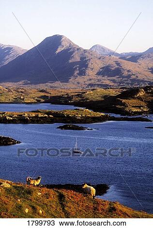 Stock Image - View Of Diamond Hill, Connemara National Park & Ballinakill, Co Galway, Ireland. . Fotosearch