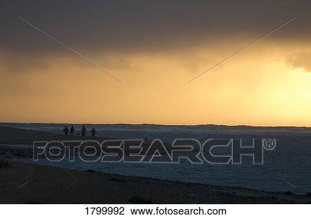 Walkers at Sunset, Tramore Bay, Co Waterford, Ireland View Large Photo Image Stock Image - Walkers at Sunset, Tramore Bay, Co Waterford, Ireland. Fotosearch