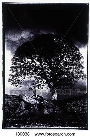 Stock Image - Walking the Dog, Navan Fort, Co Armagh, Ireland. Fotosearch