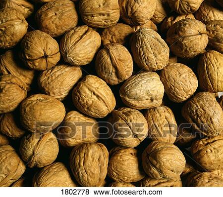 Stock Photo - Walnuts. Fotosearch