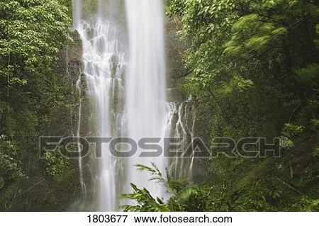 Stock Photo - Waterfall in the forest. Fotosearch