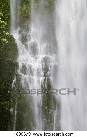 Waterfall in the forest View Large Photo Image Stock Photo - Waterfall in the forest. Fotosearch