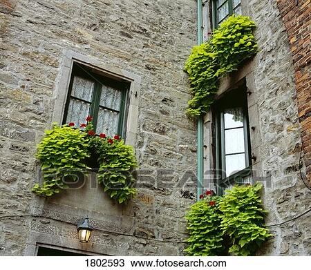 Stock Image - Windows on a building. Fotosearch