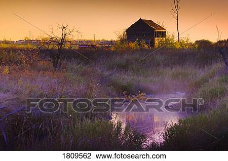 Stock Image - Abandoned shack near a creek in the spring . Fotosearch
