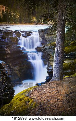 Athabasca Falls early morning waterfall, Jasper National Park, Alberta, Canada View Large Photo Image Stock Image - Athabasca Falls early morning waterfall, Jasper National Park, Alberta, Canada. Fotosearch