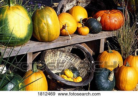 Stock Photo - Autumn vegetables. Fotosearch