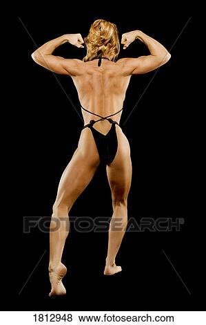 Back view of a female bodybuilder View Large Photo Image Stock Photo - Back view of a female bodybuilder. Fotosearch