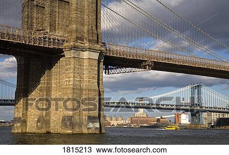 Brooklyn Bridge & Brooklyn Heights Skyline viewed from Lower Manhattan, New York City, New York, USA View Large Photo Image Stock Image - Brooklyn Bridge & Brooklyn Heights Skyline viewed from Lower Manhattan, New York City, New York, USA . Fotosearch