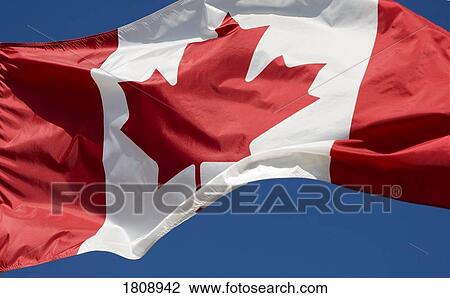 Stock Image - Canadian flag. Fotosearch