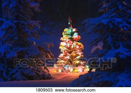 Christmas tree glowing in winter forest View Large Photo Image Stock Image - Christmas tree glowing in winter forest. Fotosearch