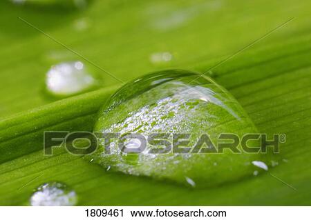 Stock Image - Close up of water drops. Fotosearch