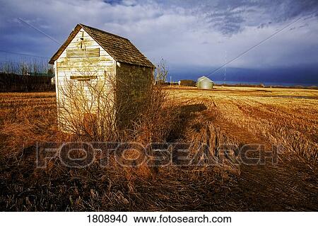 Stock Image - Farm shack, Stettler, Alberta, Canada. Fotosearch