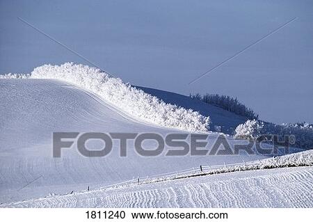 Frosty winter scene View Large Photo Image Stock Image - Frosty winter scene. Fotosearch