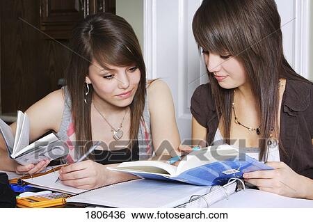 Girls studying together View Large Photo Image Stock Photograph - Girls studying together. Fotosearch