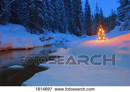 Glowing Christmas tree by mountain stream View Large Photo Image Stock Photo - Glowing Christmas tree by mountain stream . Fotosearch