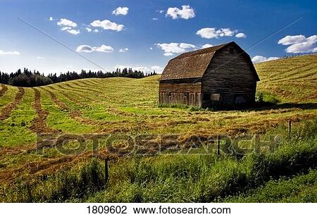 Old barn in a field View Large Photo Image Stock Image - Old barn in a field. Fotosearch