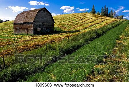 Stock Image - Old barn in a field. Fotosearch
