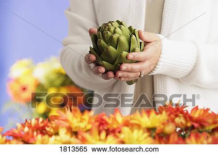 Stock Photography - Person holding artichoke. Fotosearch
