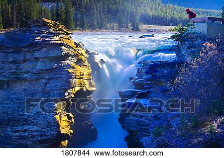 Person viewing Athabasca Falls in the early morning, Jasper National Park, Alberta, Canada View Large Photo Image Picture - Person viewing Athabasca Falls in the early morning, Jasper National Park, Alberta, Canada. Fotosearch