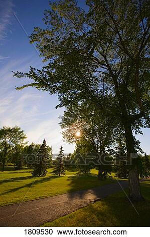 Stock Image - Road through a park. Fotosearch