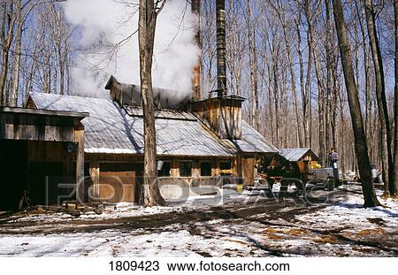 Stock Image - Sugar house in the woods. Fotosearch