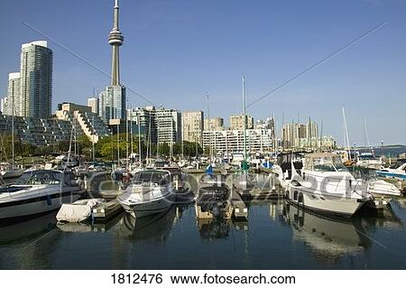 Stock Photograph - Toronto skyline, CN Tower, Toronto, Ontario, Canada. Fotosearch