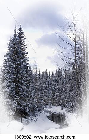 Winter stream in the forest View Large Photo Image Stock Image - Winter stream in the forest. Fotosearch