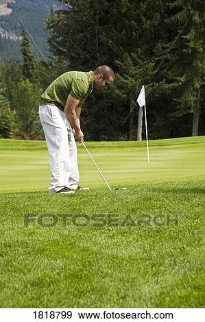 Stock Photo - A man playing golf, Fairmont, BC, Canada. Fotosearch