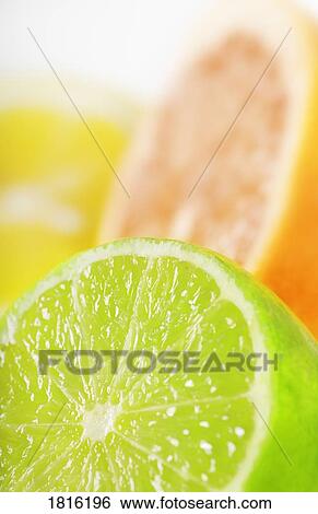Stock Photograph - Citrus. Fotosearch