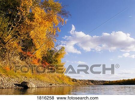 Fall foliage on shoreline View Large Photo Image Stock Photo - Fall foliage on shoreline. Fotosearch