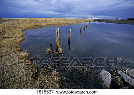 Flood water View Large Photo Image Stock Photo - Flood water. Fotosearch