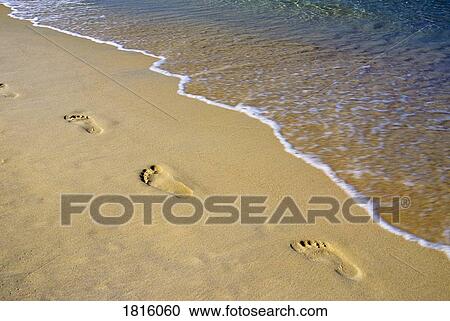 Footprints in sand in Phuket, Thailand View Large Photo Image Stock Image - Footprints in sand in Phuket, Thailand . Fotosearch