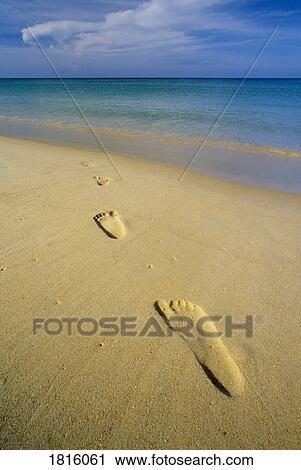 Stock Image - Footprints in sand in Phuket, Thailand . Fotosearch
