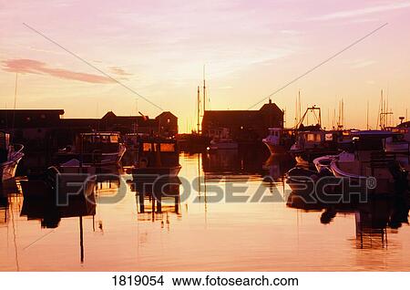 Picture - Harbor at sunrise. Fotosearch
