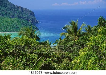 Stock Image - Ko Phi Phi island in Thailand . Fotosearch