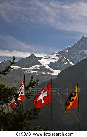 Mountain scene with Switzerland flags View Large Photo Image Stock Image - Mountain scene with Switzerland flags. Fotosearch