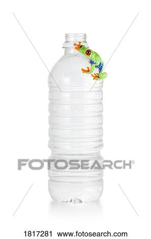 Stock Image - Red-eyed frog on a water bottle. Fotosearch